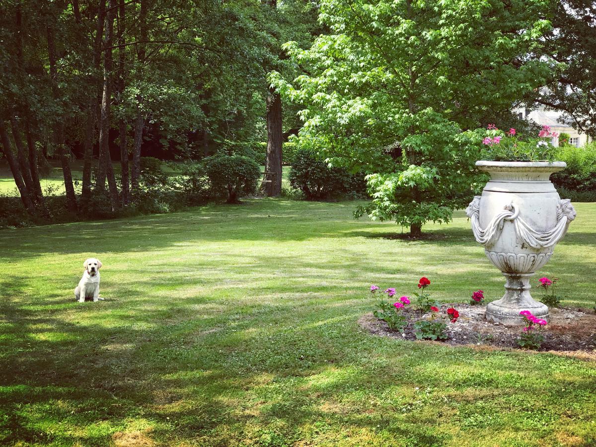 Chambre d'hôte Manoir de Clairbois Larcay Exterior foto